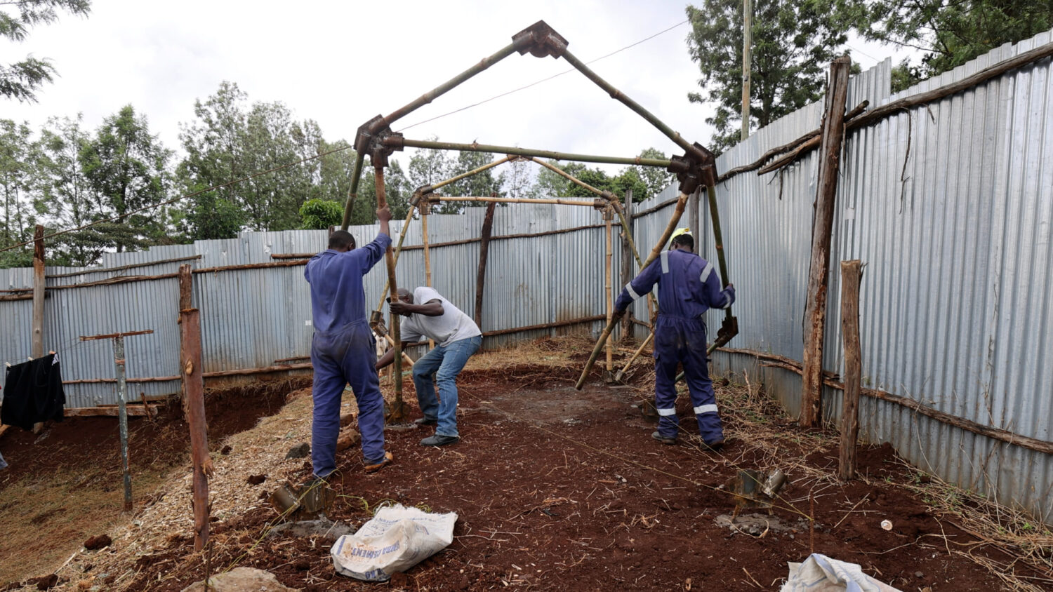 The Bamboo Dialogues