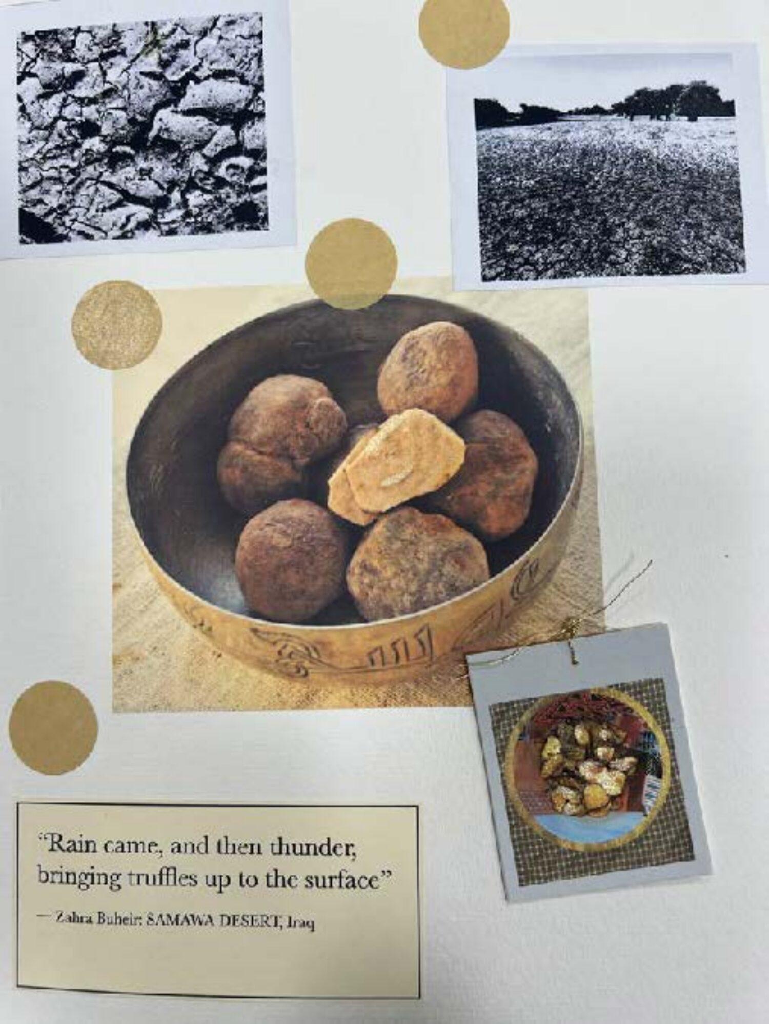 In Search of the Desert Truffle